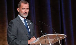 El rey Felipe VI durante su intervención en una inauguración del curso universitario 2020/2021. / Europa Press