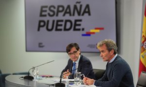 El ministro de Sanidad, Salvador Illa, y el director del Centro de Coordinación de Alertas y Emergencias Sanitarias del Ministerio de Sanidad, Fernando Simón. - EFE