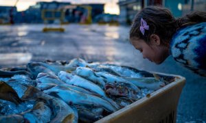 Según un estudio realizado por científicos islandeses, la percepción del olor a pescado depende de la variación o no del gen TAAR5. / Jón Gústafsson, deCODE Genetics - Amgen Inc.