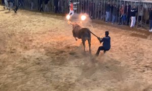 Imagen del toro embolado celebrado en Villarreal el pasado 17 de octubre, en plena pandemia. AnimaNaturalis