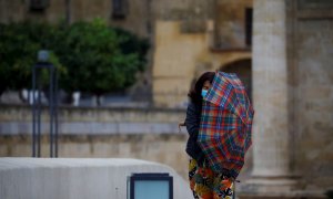 Una mujer se protege del viento con un paraguas en Córdoba, en una jornada en la que la llegada de la borrasca atlántica 'Bárbara' a la península deja fuertes rachas de viento. EFE/Salas