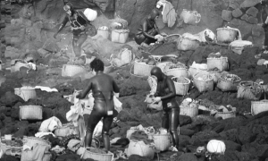 Mujeres buceadoras de Jeju, en 1974.