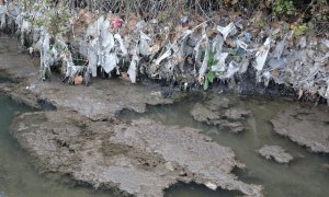 Cientos de toallitas quedan enredadas en las ramas de los árboles cercanos al río Jarama, en el Arroyo de Valdebebas, Madrid.