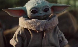 Baby yoda, the Mandalorian