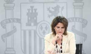 La vicepresidenta para la Transición Ecológica y el Reto Demográfico, Teresa Ribera, durante una  rueda de prensa posterior al primer Consejo de Ministros.