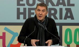 El coordinador general de EH Bildu, Arnaldo Otegi.