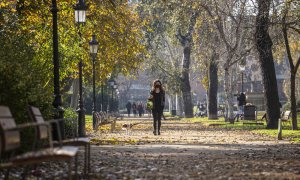 La Ciutadella és el gran parc del centre de Barcelona i la seva creació va suposar el tret de sortida de l’expansió del verd urbà.