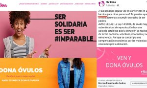 Anuncios de donación de óvulos.