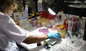 Una investigadora trabaja en el Laboratorio Regional de Salud Pública de la Comunidad de Madrid.