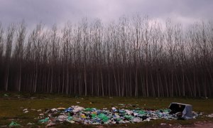 La basura se acumula en el campo de Fuente Vaqueros, cerca de Granada.