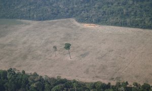 Vista aérea de la deforestación en el Amazonas