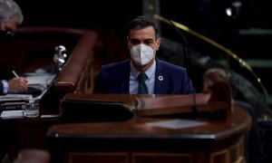 El presidente del Gobierno, Pedro Sánchez, se dirige comparece ante la Cámara este miércoles durante la sesión de control en el Congreso de los Diputados.