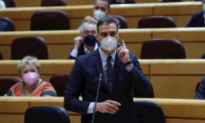 El presidente del Gobierno, Pedro Sánchez, durante la sesión de control al Gobierno en el pleno del Senado.