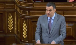 Pedro Sánchez Congreso