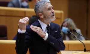 Fernando Grande-Marlaska, este martes en el Senado.