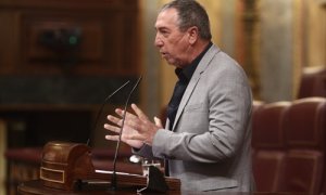 El diputado de Compromís en el Congreso, Joan Baldoví, interviene durante una sesión plenaria, a 14 de abril de 2021, en el Congreso de los Diputados