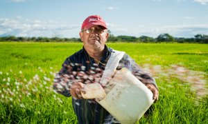 Un agricultor en el campo.