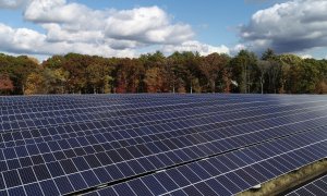 Un parque de paneles solares en EEUU.