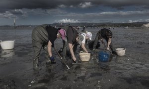 Las mariscadoras de Carril son alrededor de 90 y llevan acudiendo a mariscar desde que eran adolescentes. Raimon Moreno