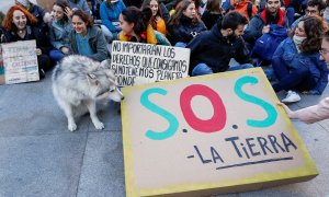 Manifestantes de Fridays For Future en una concentración frente al Congreso de los Diputados en Madrid en noviembre de 2019.