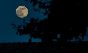 Imagen de archivo de la Luna llena en el Parque de María Luisa, el 26 de mayo de 2021 en Sevilla. - EUROPA PRESS