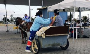 Una mujer se vacuna en un carro tirado por una mula en el punto de vacunación masiva contra la covid en Lepe (Huelva).