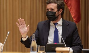 El presidente de PP, Pablo Casado, preside la reunión de la plenaria conjunta de los grupos parlamentarios de la formación en el Congreso de los Diputados