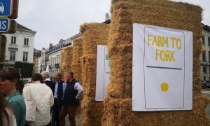 25/06/2021.- Decenas de miembros de asociaciones agrarias de toda Europa, reunidas bajo el paraguas de las dos grandes organizaciones europeas COPA-COGECA, se concentraron en la plaza de Luxemburgo de Bruselas, frente al Parlamento Europeo, para pedir un