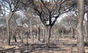 Foto de archivo del incendio registrado en Doñana en 2017.