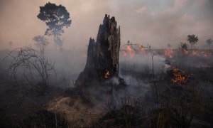 Fuego en el Amazonas.