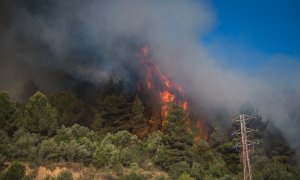 El incendio en Castellví de Rosanes y Martorell (Barcelona), el 14 de julio de 2021.