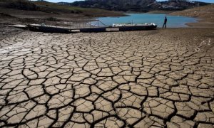 Imagen de un pantano en sequía.