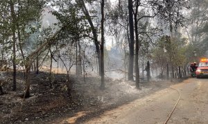 Incendio en Batres.