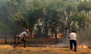 -Vecinos de Villarejo apagan un foco del incendio que se declaró el 14 de Agosto en Navalacruz (Ávila).