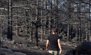 19/08/2021 Incendio en Ávila