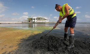 Contaminación en el Mar Menor.