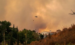 El incendio de Sierra Bermeja, en Málaga, que afecta a cuatro municipios (Estepona, Benahavís, Jubrique y Genalguacil).