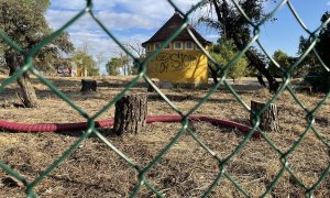 Varios arboles tocados tras el vallado de las obras en la Dehesa de Navalcarbón.