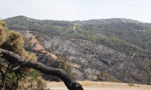 11/09/2021 Incendio en Sierra Bermeja, Málaga