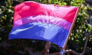 Bandera bisexual