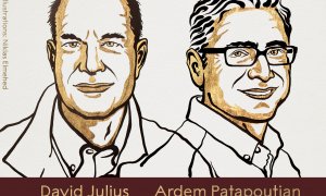 David Julius y Ardem Patapoutian, ganadores de Nobel de Medicina