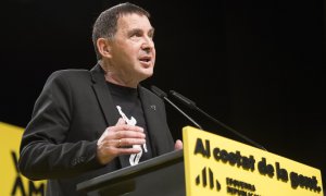 El líder de EH Bildu, Arnaldo Otegi. Foto de archivo.