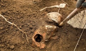 Algunos de los restos mortales encontrados en el cementerio del Belchite (Zaragoza).