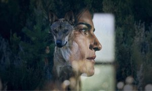 Fotograma de 'Compartiendo la Tierra' ('Sharing the Land'), documental sobre la coexistencia entre el lobo y la ganadería en España.