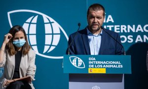 Derechos Sociales plantea prohibir por ley vender animales en tienda