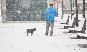 Un hombre camina sobre la nieve junto a su perro, a 28 de noviembre de 2021, en Pamplona, Navarra.