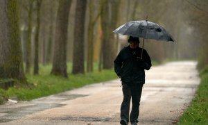 Una persona se refugia con un paraguas de la lluvia en Vitoria, País Vasco (España).