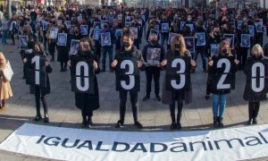 Activistas de Igualdad Animal en la Puerta del Sol