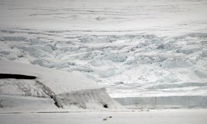 Varios osos polares son vistos en la Tierra de Jorge, una isla rusa ubicada en el Ártico.