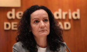 La exdirectora de Salud Pública de la Consejería de Sanidad, Yolanda Fuentes, en una imagen de archivo.